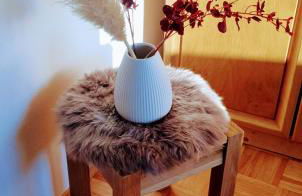 Marie´s Sonnenterrasse - Photo 23