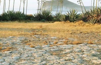 Exclusiva casa con encanto en Agua Amarga - Foto 79