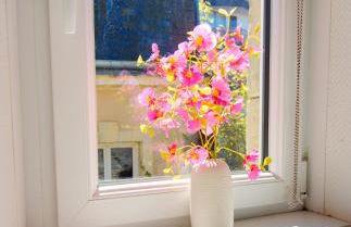 Petit Duplex Lumineux, hyper centre à 2 pas du port, Intendance Luxury Host - Foto 17