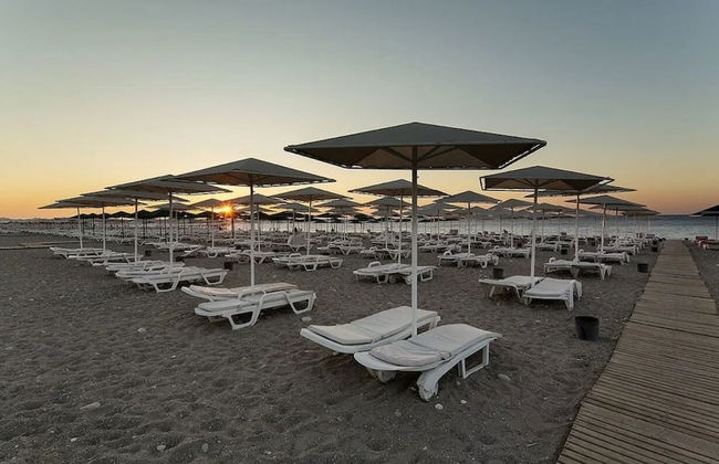 Lemon Tiny House - Foto 64