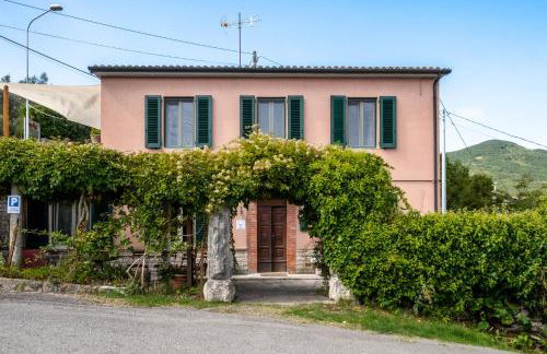 La Balena Rosa - Foto 1