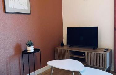 Appartement Graulhet le nid de carivel - Foto 14