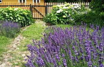 Białowieski Dworek do 10 Gości - Foto 38