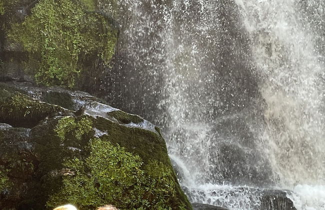 Casa Velha - Santiago Family House - Foto 19