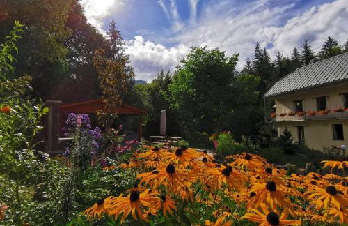 Le Moulin des Olirics - Photo 59