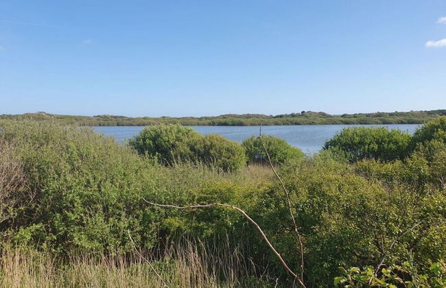 De Seekobb -beachgoers - Foto 15