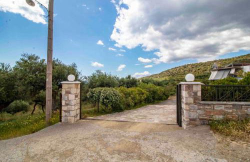 Konstantinos - Photo 14