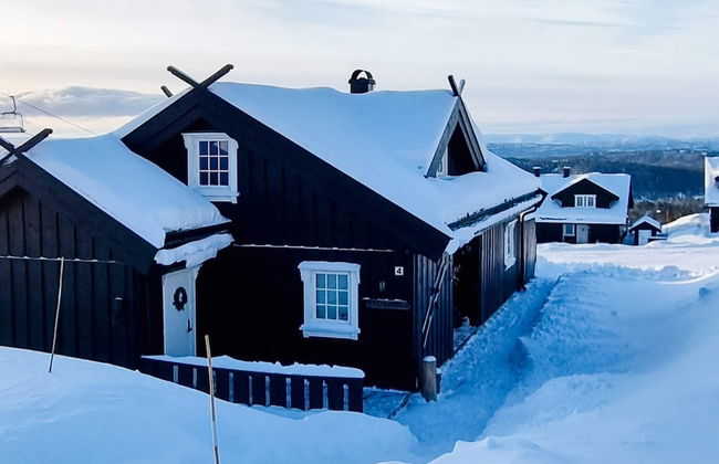 9 Person Holiday Home in Rauland - Foto 1