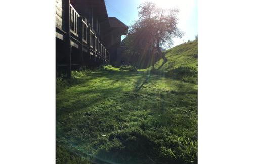 Black Forest farmhouse Bernau - Foto 19