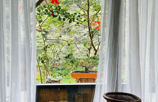 ecohotel zona 7 - Photo 42