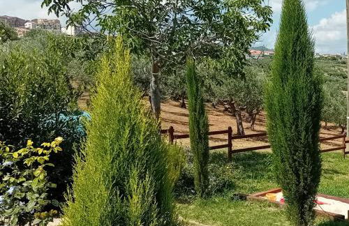 Villa Nonno Nicola - Foto 34