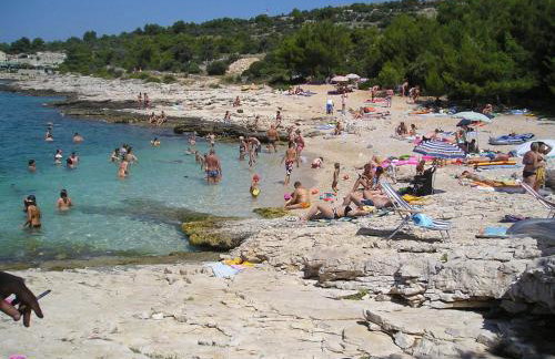 Apartments Neva - Photo 11