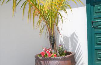 Casa Nine con piscina Vacacional La Palma - Foto 25