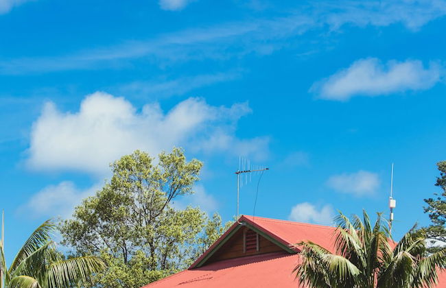 Tintoela of Norfolk - Foto 32