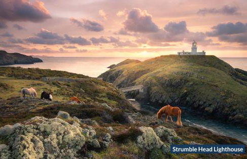 Ty Uchaf Mill - Photo 7