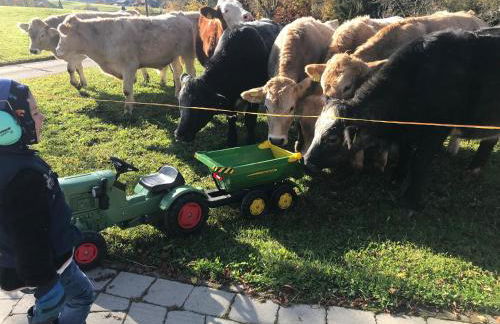 Urlaubshof Bechteler - Foto 14