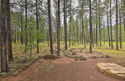 Wooded Yard, Gas Grill Lush Pinetop Retreat - Foto 27