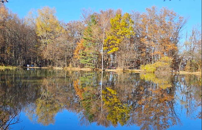 Excursión a la montaña Vitosha y la cascada Boyana - Foto 3