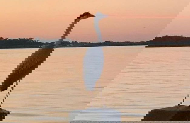 Houseboat Sneekermeer With Sun Deck - Foto 16