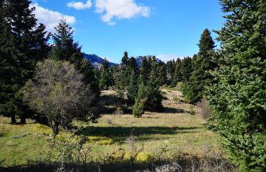 Anemoria Chalets-Castalia Chalet - Foto 47