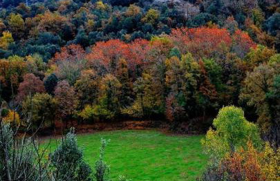 Apartament Bellserrat - Foto 42