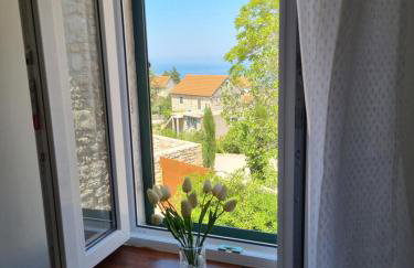 Apartman Meli in village Brusje - Foto 21