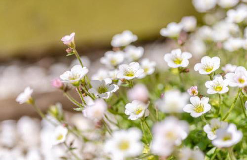 3 Bed in Holsworthy oc-78216 - Foto 43