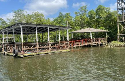 COP30 - Belém - Refúgio perfeito em Benfica-Pará - Photo 32