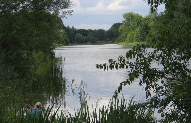 Apartment in Lower Saxony - Foto 12