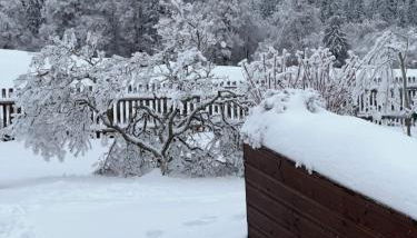Ferienwohnung Gabelbachskopf - Foto 2
