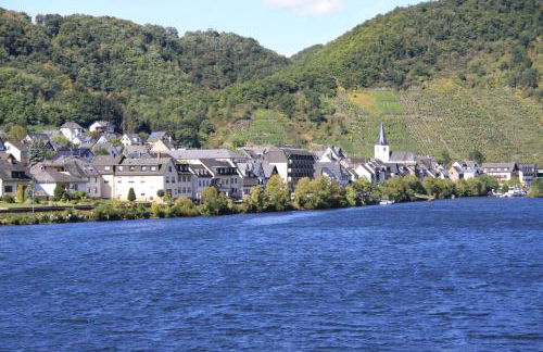 Ferienwohnungen im Moseltal - Foto 36