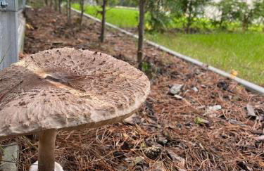 Master Camp Santoczno - Foto 51