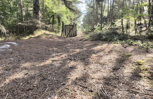 Secluded Oasis With Pool - By Traum Ferienwohnungen - Foto 9