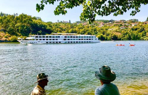 Casinha do Douro, Cinfães - Foto 15