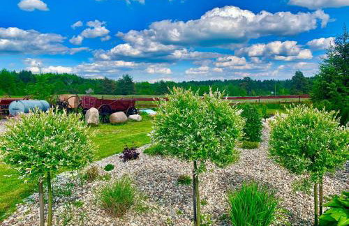 Mazurski dom Brejdyny Sauna i Bania - Foto 46