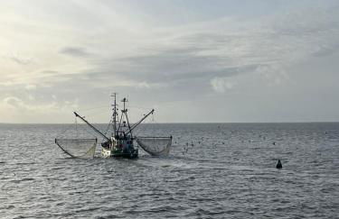 Apartment mit Meeresblick Wangerooge - Foto 34