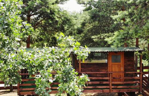 Domki Wrzosowe Wzgórza Nr2 - Foto 6