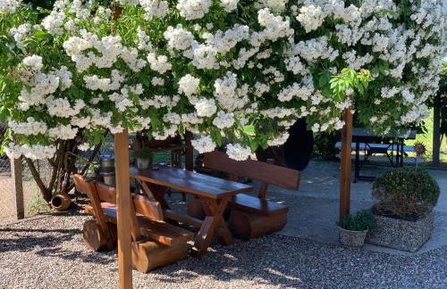 Kiek mol in - Foto 8