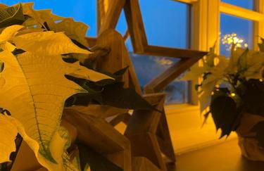 Dottie's Place - Foto 17