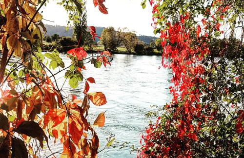 Apartment Kerbholz - zwischen Südschwarzwald und Schweiz - Foto 18