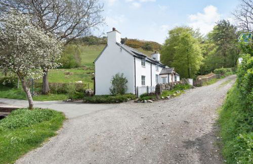 Pen Y Bont - Photo 22