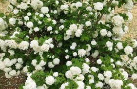 Meteora countryside villa - Foto 57