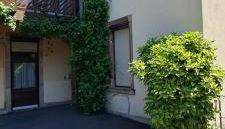 La cigogne rêveuse - Foto 5