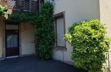 La cigogne rêveuse - Foto 5