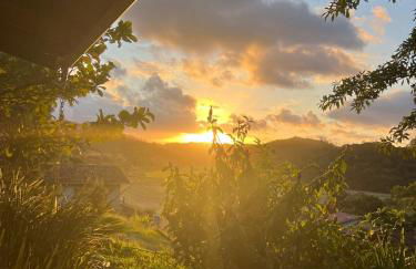 Pool amid the green - Foto 12