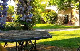 Casale Del Leon - Foto 32