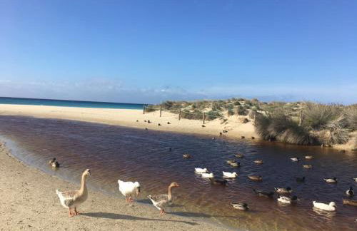 Apartamento el Descanso - Foto 19