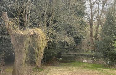 Heron House - Photo 25