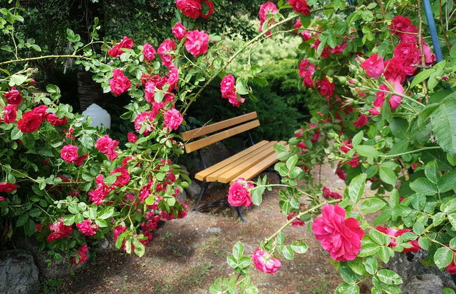 Kamienny Ogród Holiday Park - Foto 33