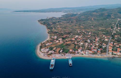 suite apartment Αdonis - Foto 51